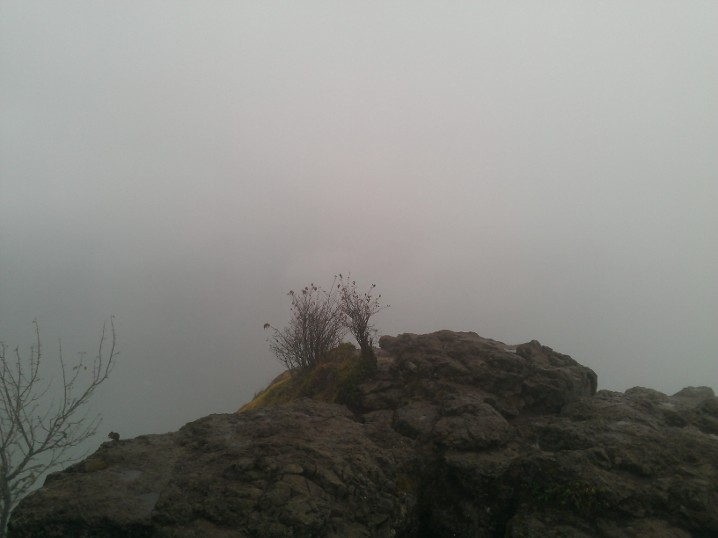 Fog at the top of Rattlesnake Ledge